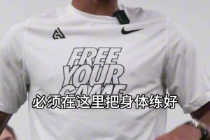 走心！字母哥中国行分享经验：在健身房流汗甚至比上场打球更重要