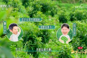 撒贝宁和马凡舒在村BA赛前与嘉宾体验摘西瓜：就像打球一样