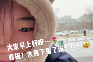 可爱哈！大宝贝刘禹彤晒视频：下雪啦下雪啦！