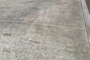 这人气真的高啊！詹姆斯儿子布朗尼首秀，这队排的老长了！