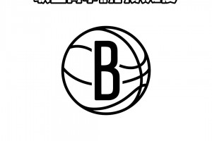 有点离谱！又来到了康尼岛考验游客对NBA队标熟知度