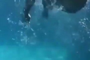 继续进化？篮球届“蛙人”？杰伦-布朗的训练到新层次