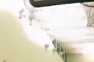 乔丹的哥哥仅有1米75，但这个弹跳能力相当炸裂啊！