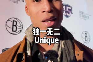若只能用一个词来形容文斯-卡特 篮网球员会选哪个词？