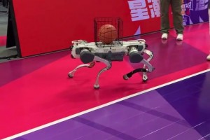 WCBA全明星上的机器狗太抢镜，把李梦都给整乐呵了