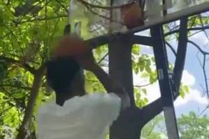 太搞了！网友恶搞：这就是欧文的上篮方式！