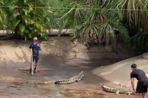 提高运球效率的方法 就是经不得任何失误