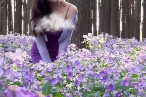这尺度真得打码！同曦老板儿媳杨肉包紫色吊带花丛中拍照