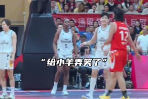 这球是小羊防守犯规 还是阿梦进攻犯规呢？吧友们给分析分析
