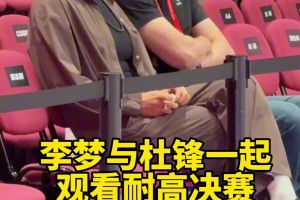 李梦与杜锋一起观看耐高决赛！