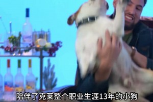 陪伴克莱13年的小狗去世了，不敢相信克莱得多么伤心