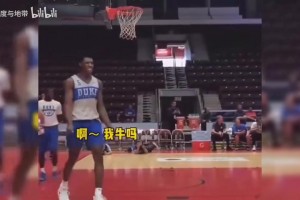 这体格配上这弹跳是人类？锡安当年火爆全世界的罚球线扣篮！