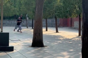 岁月静好！文班俨然已经融入少林寺