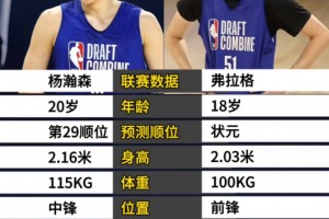 期待新赛季对决！16号秀杨瀚森和状元弗拉格的各项对比~
