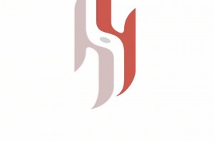 吧友看这Logo逼格高不？杨瀚森解读个人专属Logo爱不释手