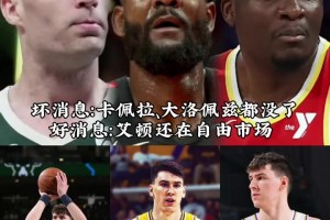 湖人截至目前只签个拉拉维亚！中锋饼皇大洛-2 只剩下艾顿了~