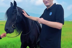 跟约老师PK一下哈！巴特尔草原上骑马 结果马直接罢工不走了~