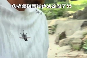 约老师来看大熊猫给热够呛 直接上避暑神器了！
