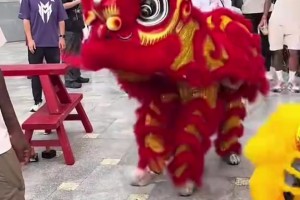 感受中国文化！蒙克中国行看舞狮表演，看的太开心了