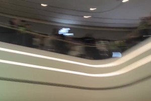 哈登在商场阿迪店门口，底下的球迷山呼海啸欢迎登哥