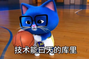 库里之歌真的万恶之源啊！现在满脑子都是Crossover很哟