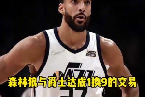 到底是亏是赚？回顾森林狼9换1交易得到戈贝尔