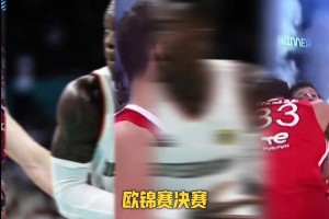 吧友们更看好谁？德国/土耳其谁将站在欧洲之巅？