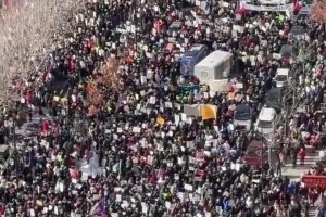 无心恋战？明尼苏达州人山人海的游行活动！