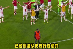 格鲁吉亚队员与球迷，一同用经典战吼告别欧洲杯