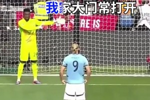 哈兰德：仙人指路？不吃你这套