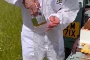 贝克汉姆化身“勤劳的小蜜蜂”