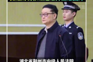 双双判刑！李毓毅、付翔二人同日被判11年！