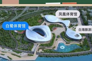 厦门球迷永远的痛！消失的厦门足球队：厦门蓝狮