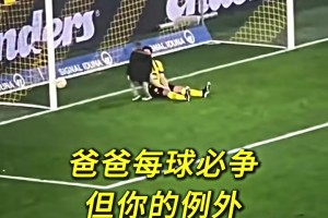 胡梅尔斯：我每球必争，但你的除外！