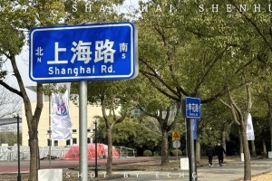 球迷视角，带你沉浸式体验中超2025赛季上海申花出征仪式