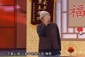 苦涩啊，王大雷这回成了下蛋公鸡，公鸡中的战斗机了