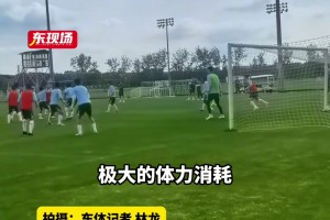 申花伤病潮来袭，路易斯、吴曦缺阵关键战，小将刘诚宇爆发成亮点