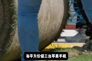 新诺坎普草皮每平方价值3台苹果手机，每年维护费用高达200万