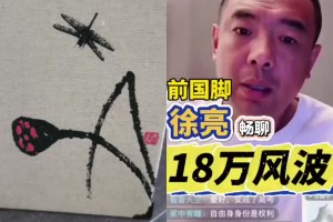 徐亮力挺孙继海：不想赔钱签个终生不踢球协议就好了
