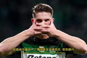 罗马诺：阿森纳引进谢什科的优先度高于约克雷斯