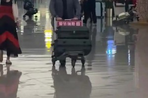 下课成定局？伊万凌晨1点将乘机飞往卡塔尔！
