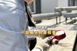 名梗成真！师傅你是做什么工作的？