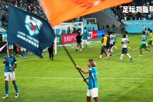 胜败两重天，深圳新鹏城球员赛后热情庆祝，申花替补球员默默加练