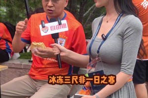 泰山队铁杆球迷在足协杯1/8决赛前，发表了高屋建瓴的真知灼见