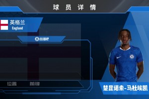 切尔西边路快马 马杜埃凯个人精彩瞬间