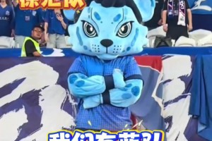 苏超联赛爆火后，网友畅想上海版“沪超” ,“没有假球,全是世仇!”