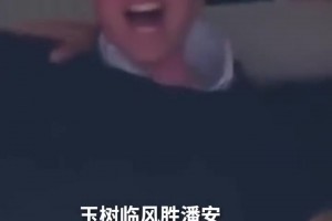 詹俊：这位玉树临风胜潘安，一枝梨花压海棠，威廉王子：正是在下