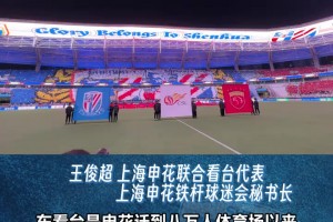 申花德比战TIFO创意大揭秘!八万人的共同努力！