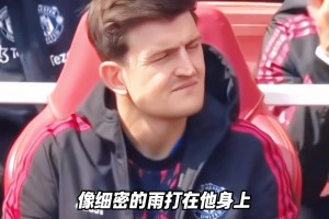 网友：他正在用最不聪明的方式，守着红墙里最滚烫的热爱！