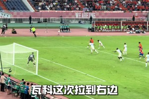 山羊君：禁区里跳舞了！跳舞了！这是瓦科吗？这是洛维！